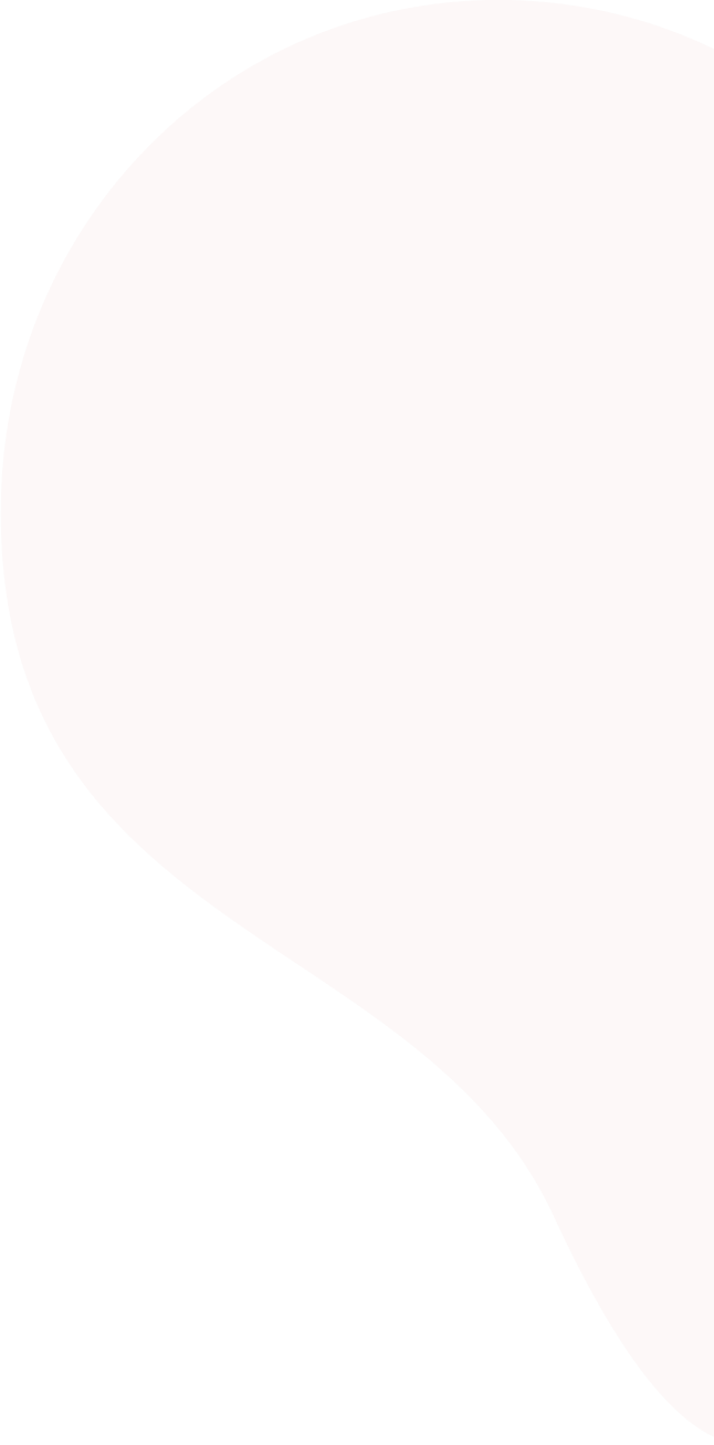 Ayrıntılı Araç Bilgileri